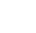 X icon